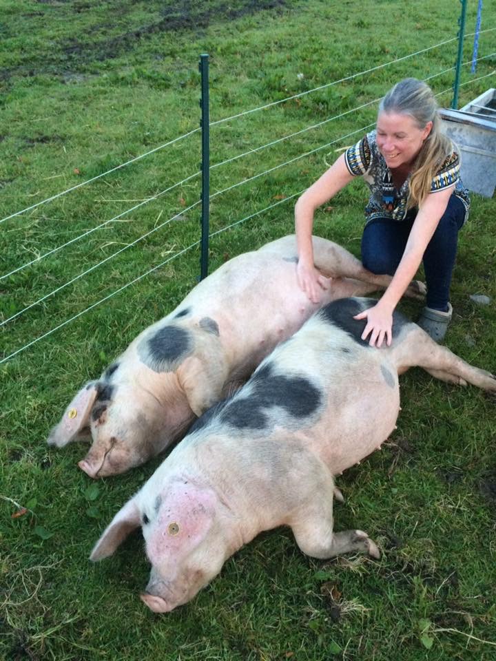 Caroline and and two pigs